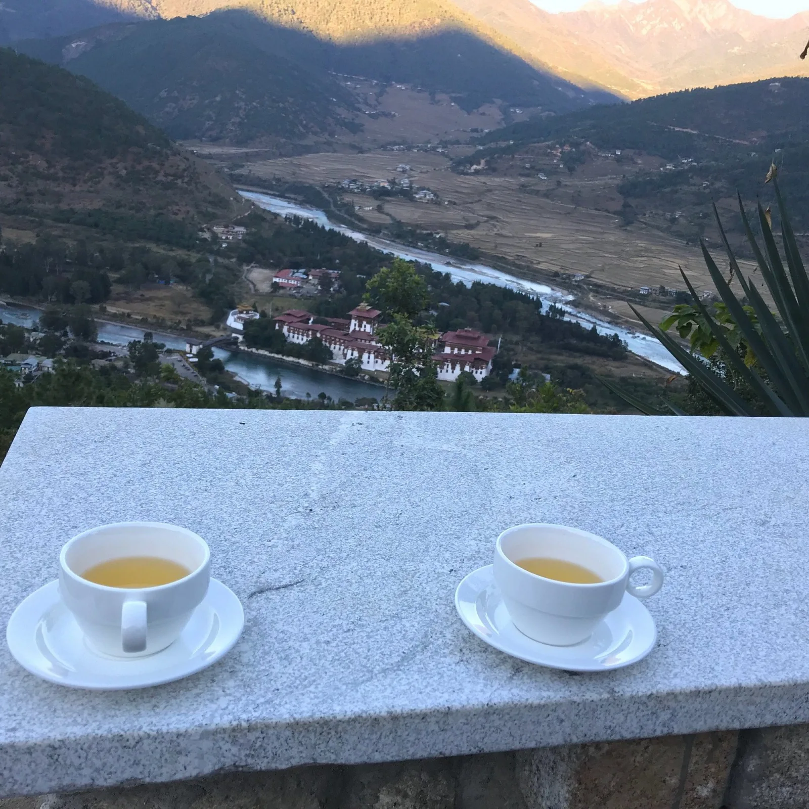 Dhumra Farm Resort — 3
