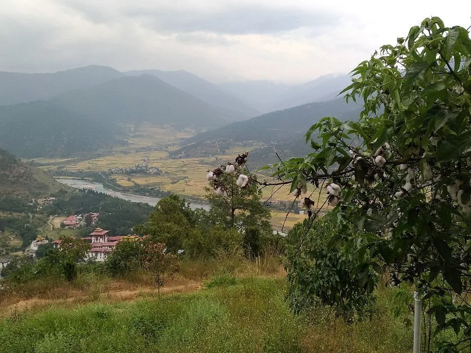 Dhumra Farm Resort — 6