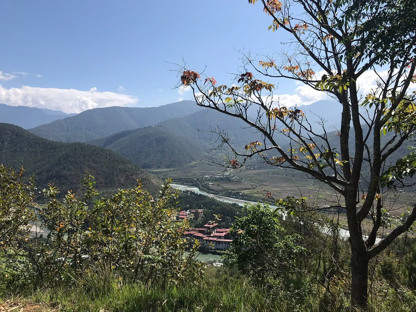 Dhumra Farm Resort — 15