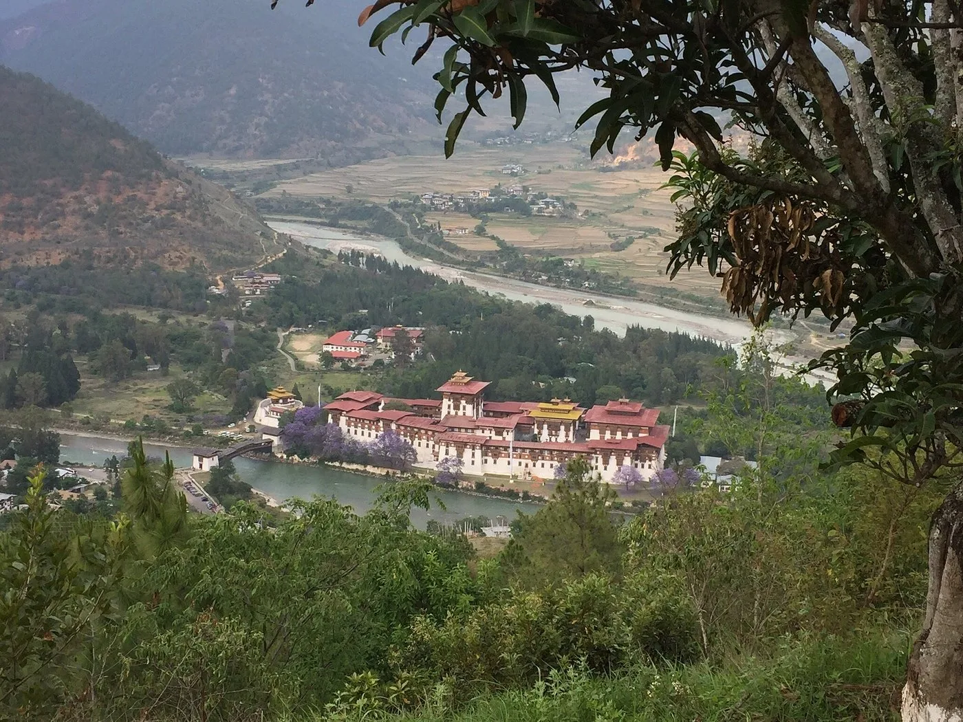 Dhumra Farm Resort — 5