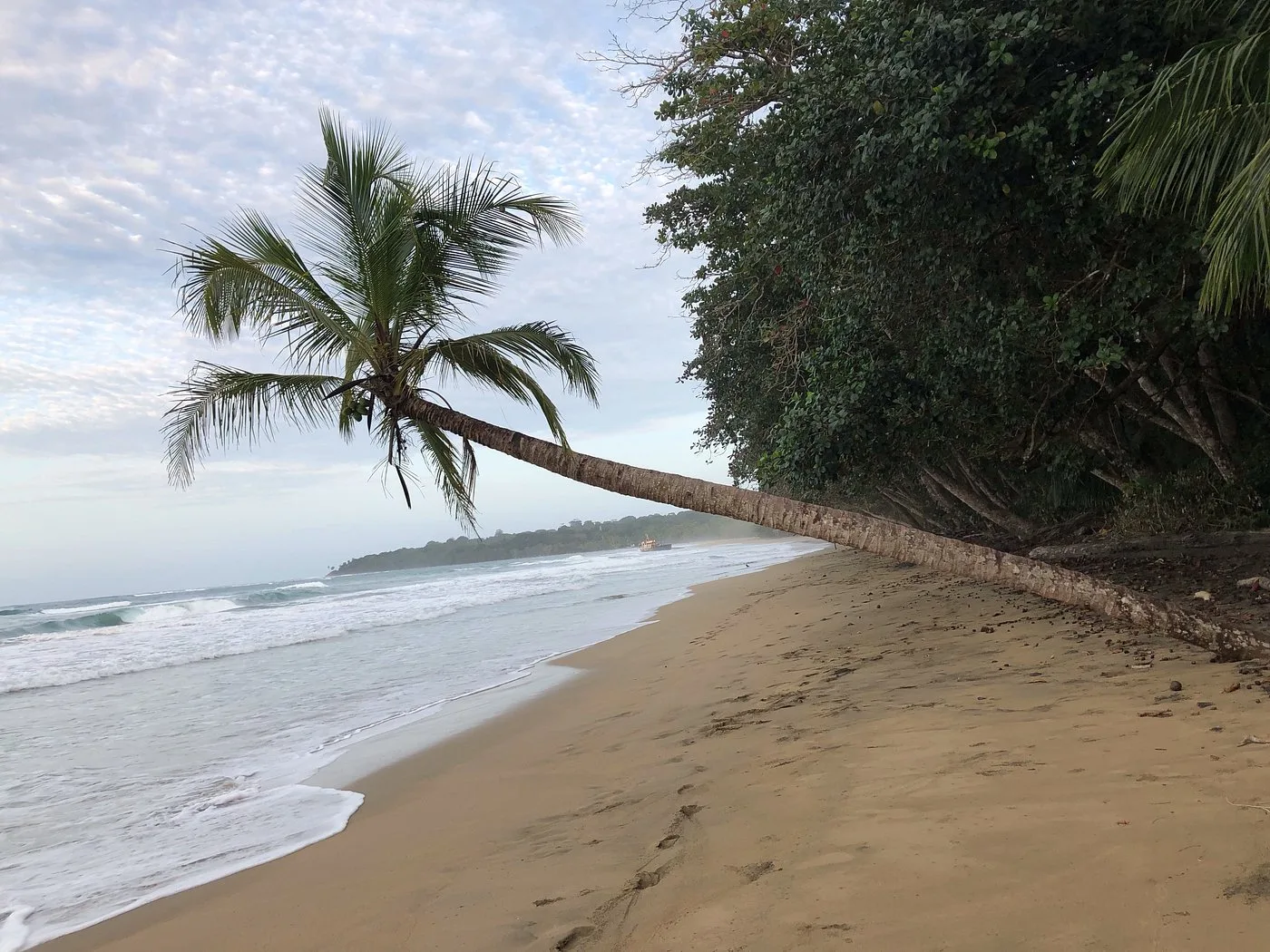 Almonds & Corals Boutique Hotel — 5