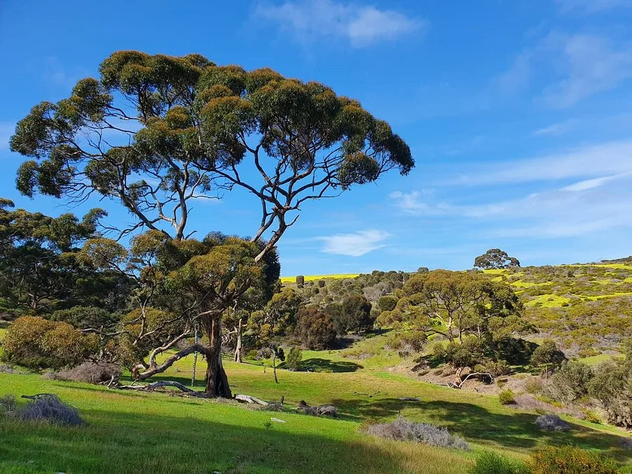 Oceanview Eco Villas Kangaroo Island — 3
