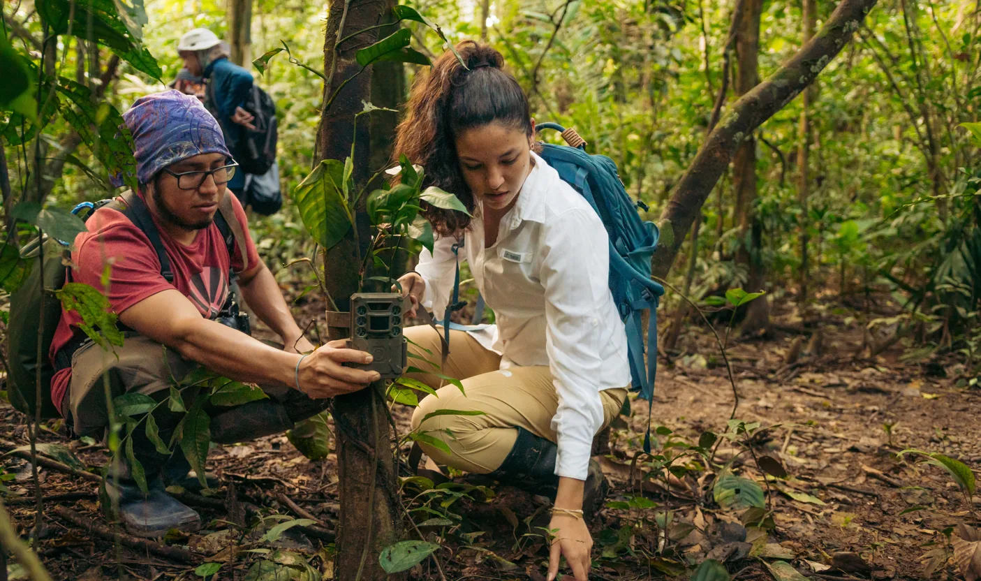 Refugio Amazonas — image 12