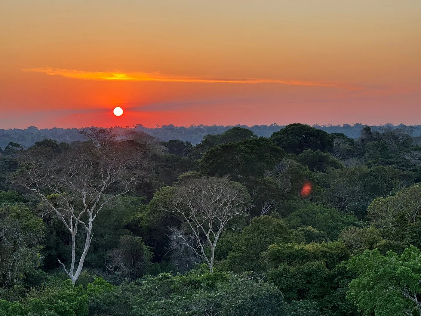 Refugio Amazonas — image 2