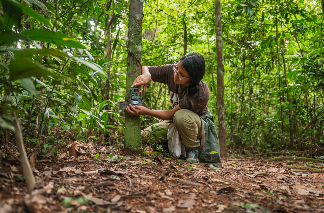 Refugio Amazonas — image 13