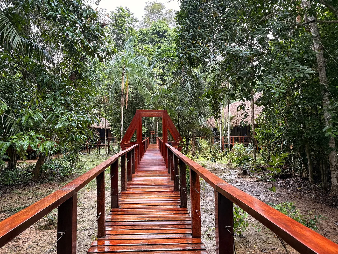 Refugio Amazonas — image 3