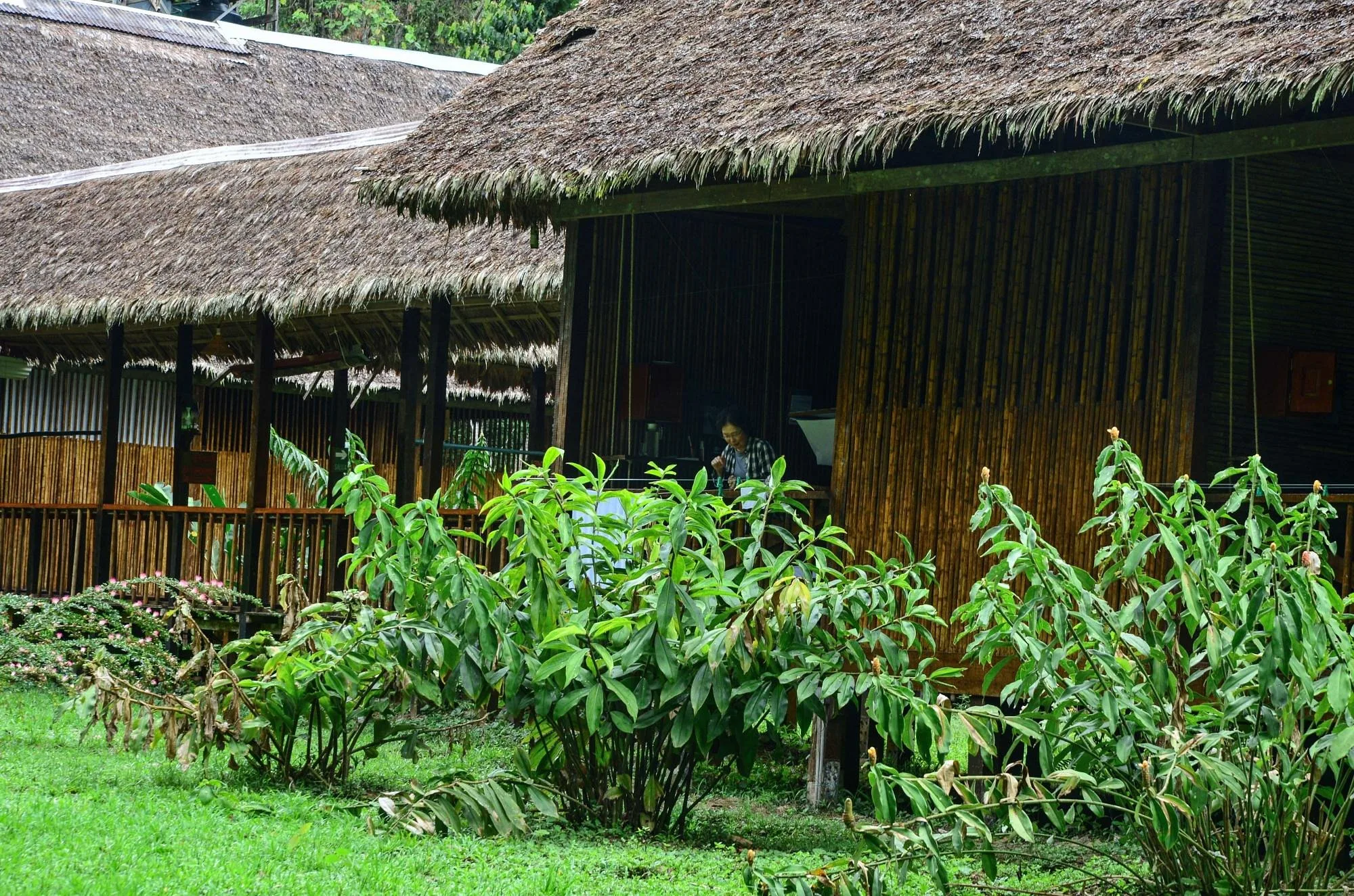 Tambopata Research Center — image 1