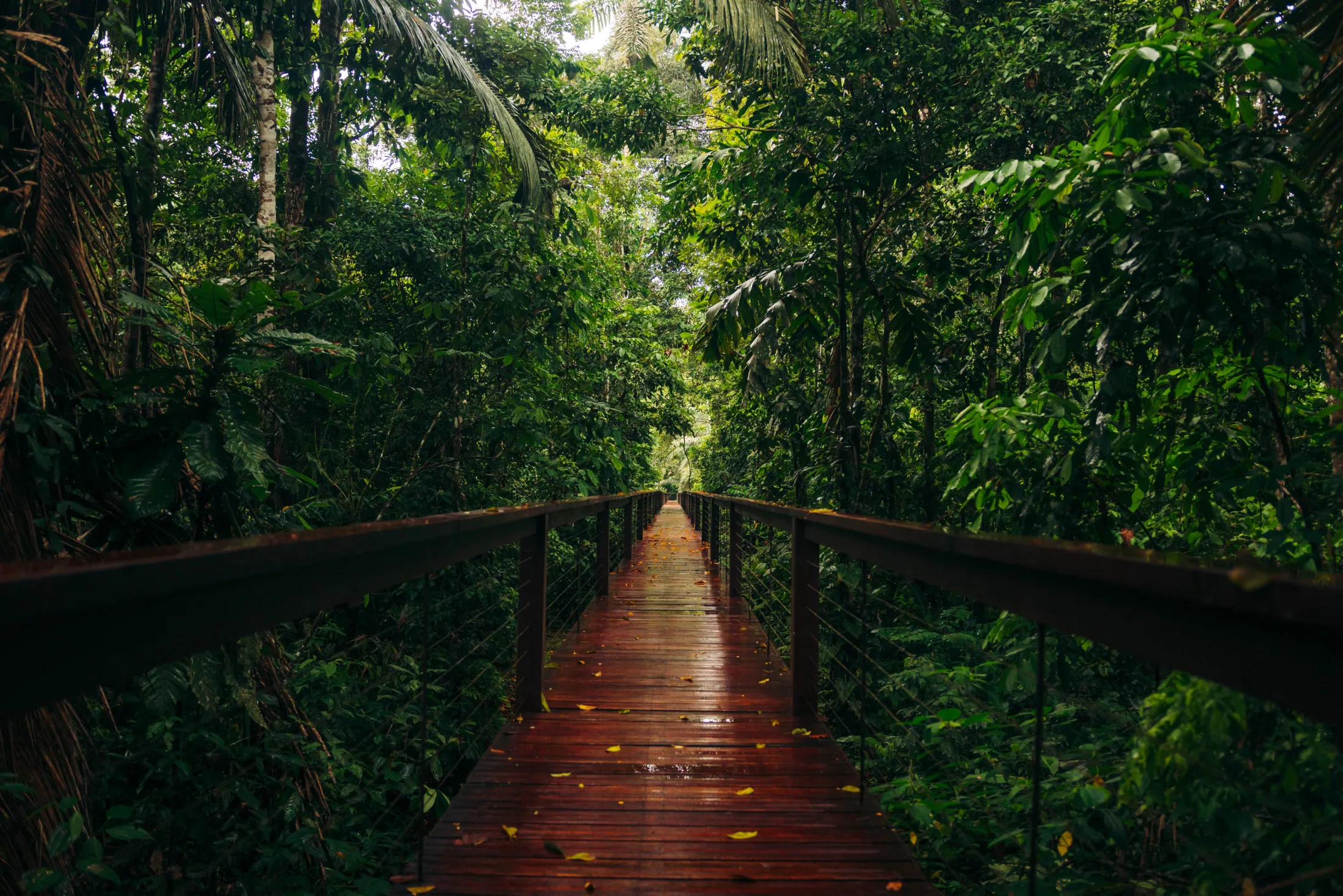 Tambopata Research Center — image 16