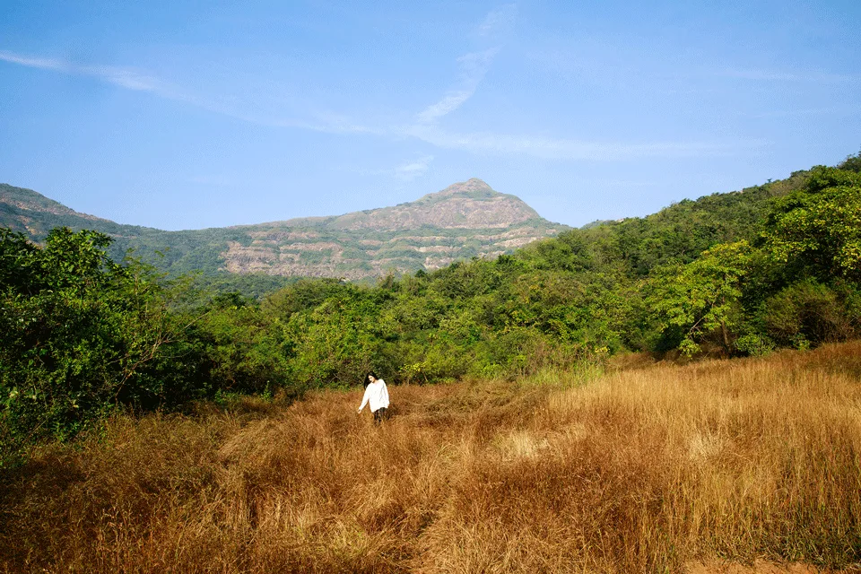 Dharana at Shillim — image 15